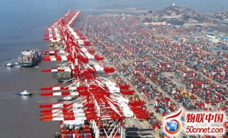 上海自貿(mào)區(qū)試點(diǎn)電梯預(yù)警技術(shù) 思維監(jiān)管與新興能源技術(shù)融合