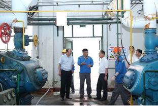 區(qū)政府副區(qū)長(zhǎng)李榮久帶隊(duì)檢查國慶節(jié)日市場(chǎng)和食品藥品特種設(shè)備安全情況