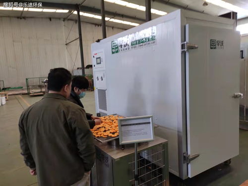 箱式食品烘干與柿子烘干設(shè)備 異同解析及新興能源技術(shù)的融合創(chuàng)新